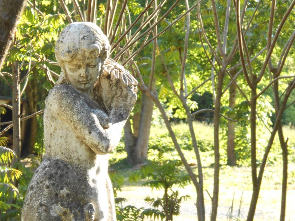 Clos Du Bois Brard B&B Saumur Esterno foto