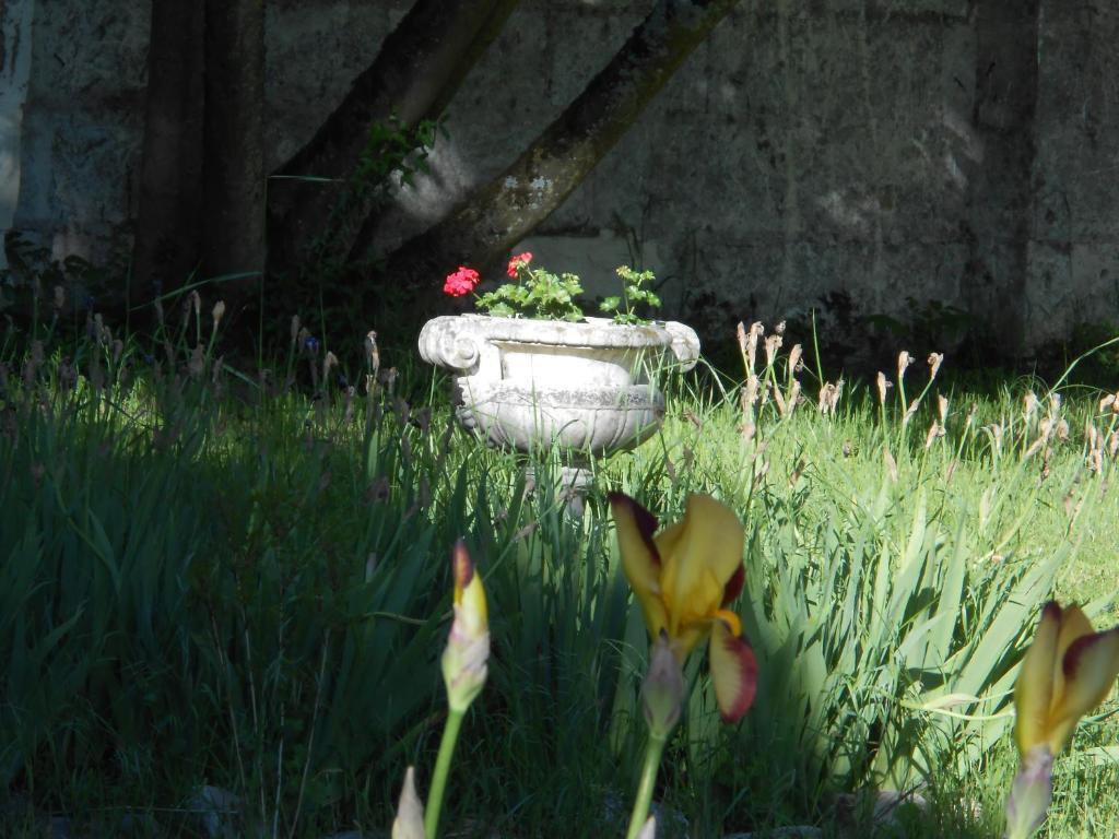 Clos Du Bois Brard B&B Saumur Esterno foto