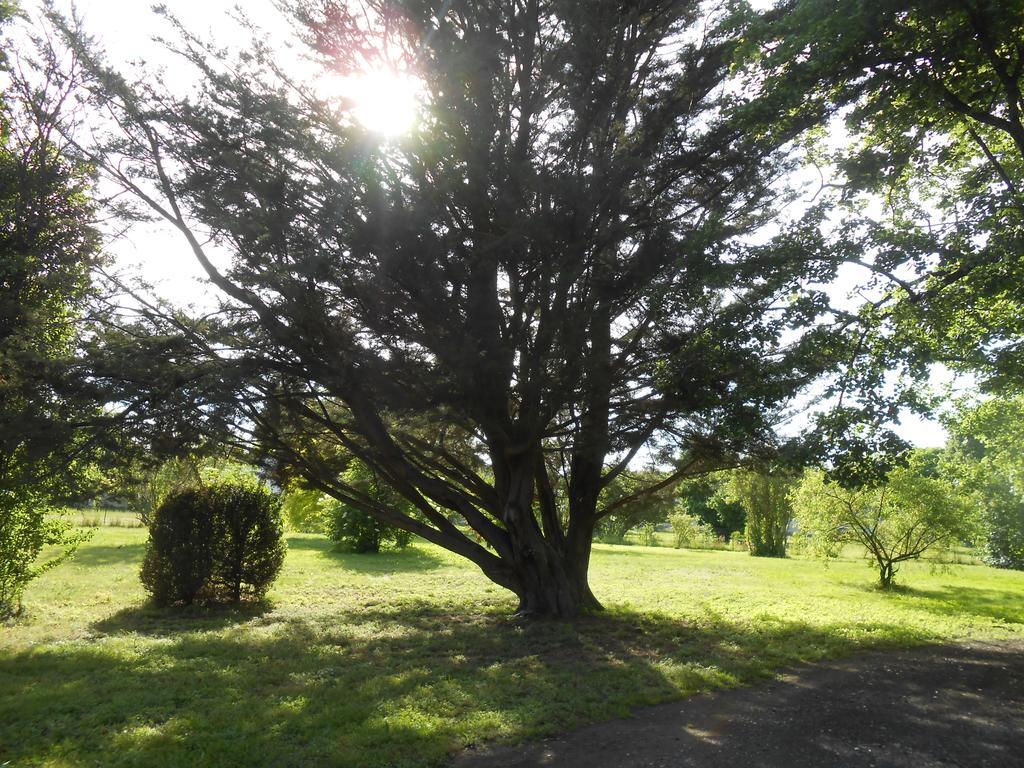 Clos Du Bois Brard B&B Saumur Esterno foto