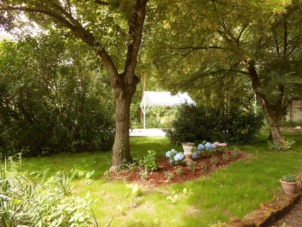 Clos Du Bois Brard B&B Saumur Esterno foto