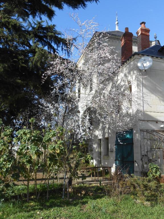 Clos Du Bois Brard B&B Saumur Esterno foto